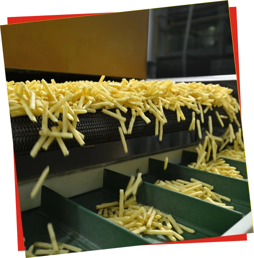 About Jemini Snacks